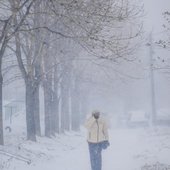 К концу дня и ближайшей ночью осадки в Приморье усилятся