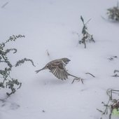 К концу дня и ближайшей ночью осадки в Приморье усилятся