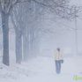 К концу дня и ближайшей ночью осадки в Приморье усилятся