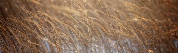 К выходным в Приморье похолодает