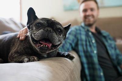 Учёные выяснили, что владельцы собак живут дольше других