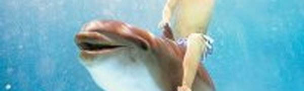 Как меньше загрязнять воду? 