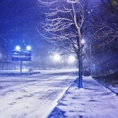Ураганный ветер и метель обрушились на Владивосток