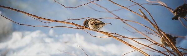 В выходные дни в Приморье ожидается холодная без осадков погода