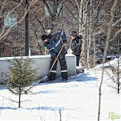 В выходные во Владивостоке было морозно и солнечно