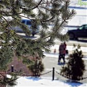 В выходные во Владивостоке было морозно и солнечно