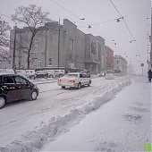 Циклон засыпал Владивосток снегом