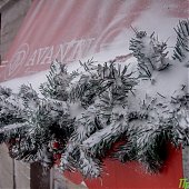 Циклон засыпал Владивосток снегом