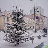 Циклон засыпал Владивосток снегом