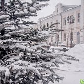 Циклон засыпал Владивосток снегом