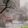 Штормовое предупреждение объявлено в Приморье 