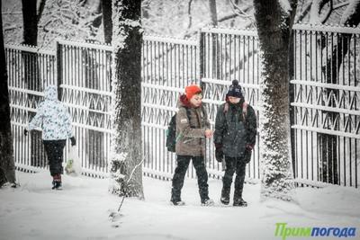 В связи с непогодой в Приморье начали отменять занятия в школах