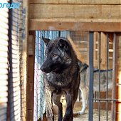 Успеть на выходных: посетить зоопарк и помочь зверятам