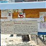 Успеть на выходных: посетить зоопарк и помочь зверятам