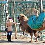 Успеть на выходных: посетить зоопарк и помочь зверятам