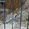 Успеть на выходных: посетить зоопарк и помочь зверятам