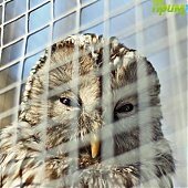 Успеть на выходных: посетить зоопарк и помочь зверятам