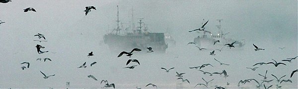 Тайфун «Чой-Ван» обрушился на Сахалин и Курилы