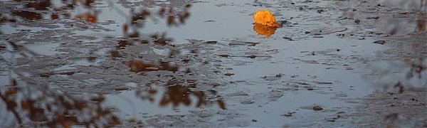 До конца недели ненастная погода не покинет Приморье