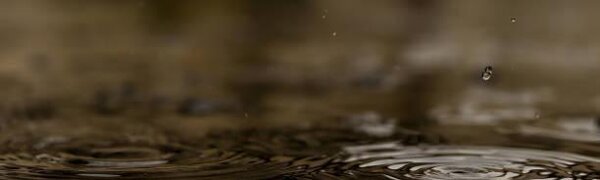 Из-за дождей в Приморье сохранится высокая водность рек