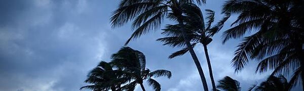 Две новых тропических депрессии зародились в Тихом океане