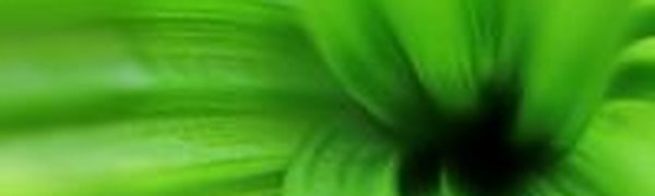 Весеннее настроение для Дня весны