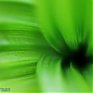 Весеннее настроение для Дня весны