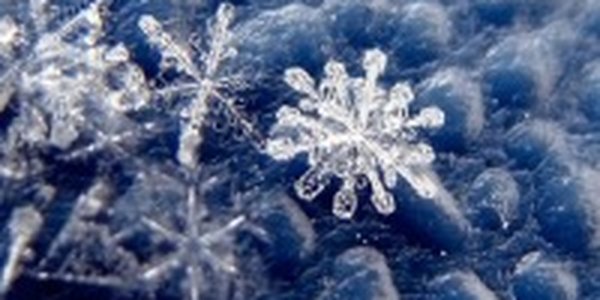 Ждем снег в Приморье уже завтра