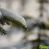 Снег и лед во Владивостоке(ФОТО)