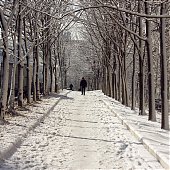 Снег и лед во Владивостоке(ФОТО)