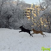 Снег и лед во Владивостоке(ФОТО)