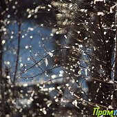 Снег и лед во Владивостоке(ФОТО)