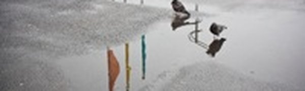 Приморье во власти атмосферных фронтов