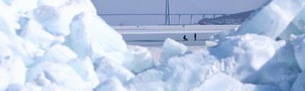 Февраль на пороге: синоптики рассказали о погоде в Приморье