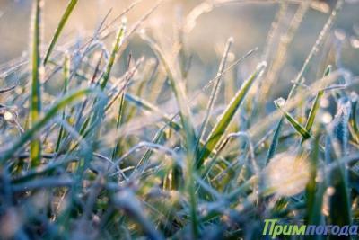 До +5°C опустились столбики термометров сегодня ночью на востоке Приморья До +5°C опустились столбики термометров сегодня ночью на востоке Приморья