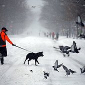 Снегопад в США признан сильнейшим за последние 100 лет
