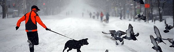 Снегопад в США признан сильнейшим за последние 100 лет