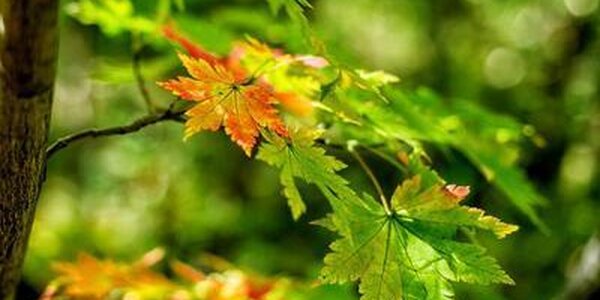 Отдых в Приморье осенью: 7 самых красивых мест