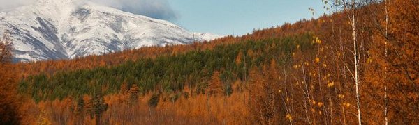 Холодные выходные ждут жителей Приморья