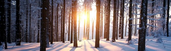 Контрасты температуры в Приморье в выходные дни достигли 24 °C