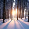 Контрасты температуры в Приморье в выходные дни достигли 24 °C