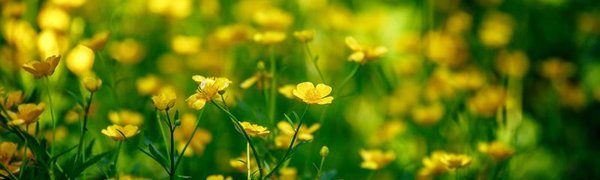 На выходных в Приморье до +22°С