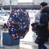 В первые выходные марта во Владивостоке выпало 89% месячной нормы осадков