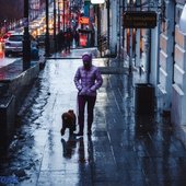 В первые выходные марта во Владивостоке выпало 89% месячной нормы осадков