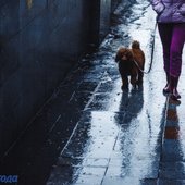 В первые выходные марта во Владивостоке выпало 89% месячной нормы осадков