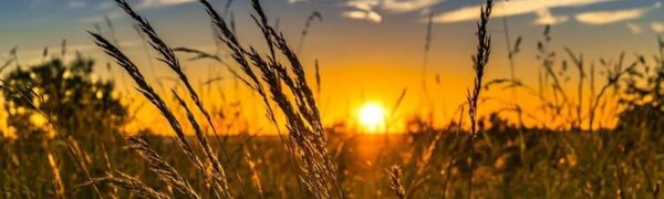 Жаркая погода придет в Приморье в начале следующей недели