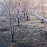 В финале апреля Приморье накрыли туманы