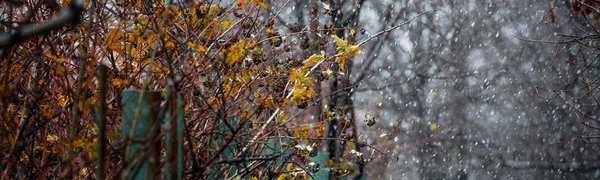 Сегодня в Приморье пройдут дожди, местами со снегом