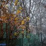 Сегодня в Приморье пройдут дожди, местами со снегом