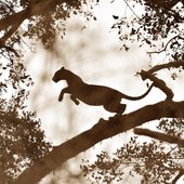 Красота природы от National Geographic
